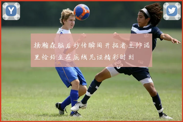 杨瀚森脑后妙传瞬间开拓者主帅诺里恰好坐在底线见证精彩时刻