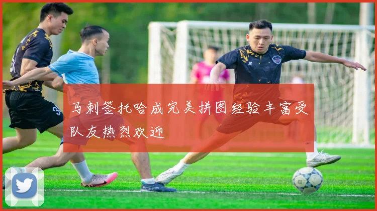 马刺签托哈成完美拼图经验丰富受队友热烈欢迎