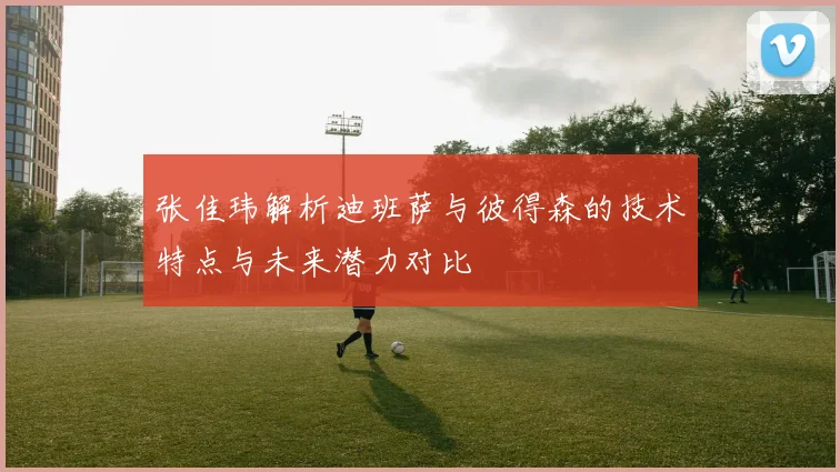 张佳玮解析迪班萨与彼得森的技术特点与未来潜力对比
