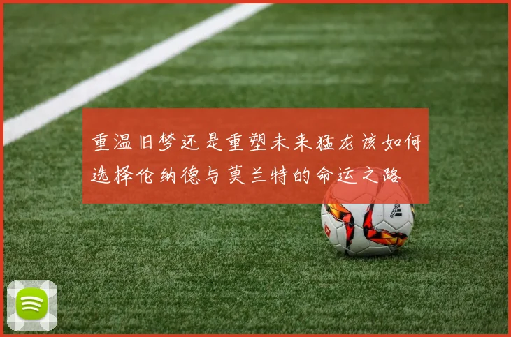 重温旧梦还是重塑未来猛龙该如何选择伦纳德与莫兰特的命运之路