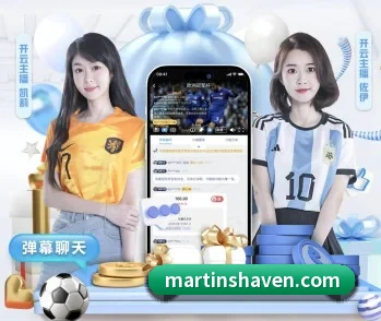 aoa网页版入口的故事